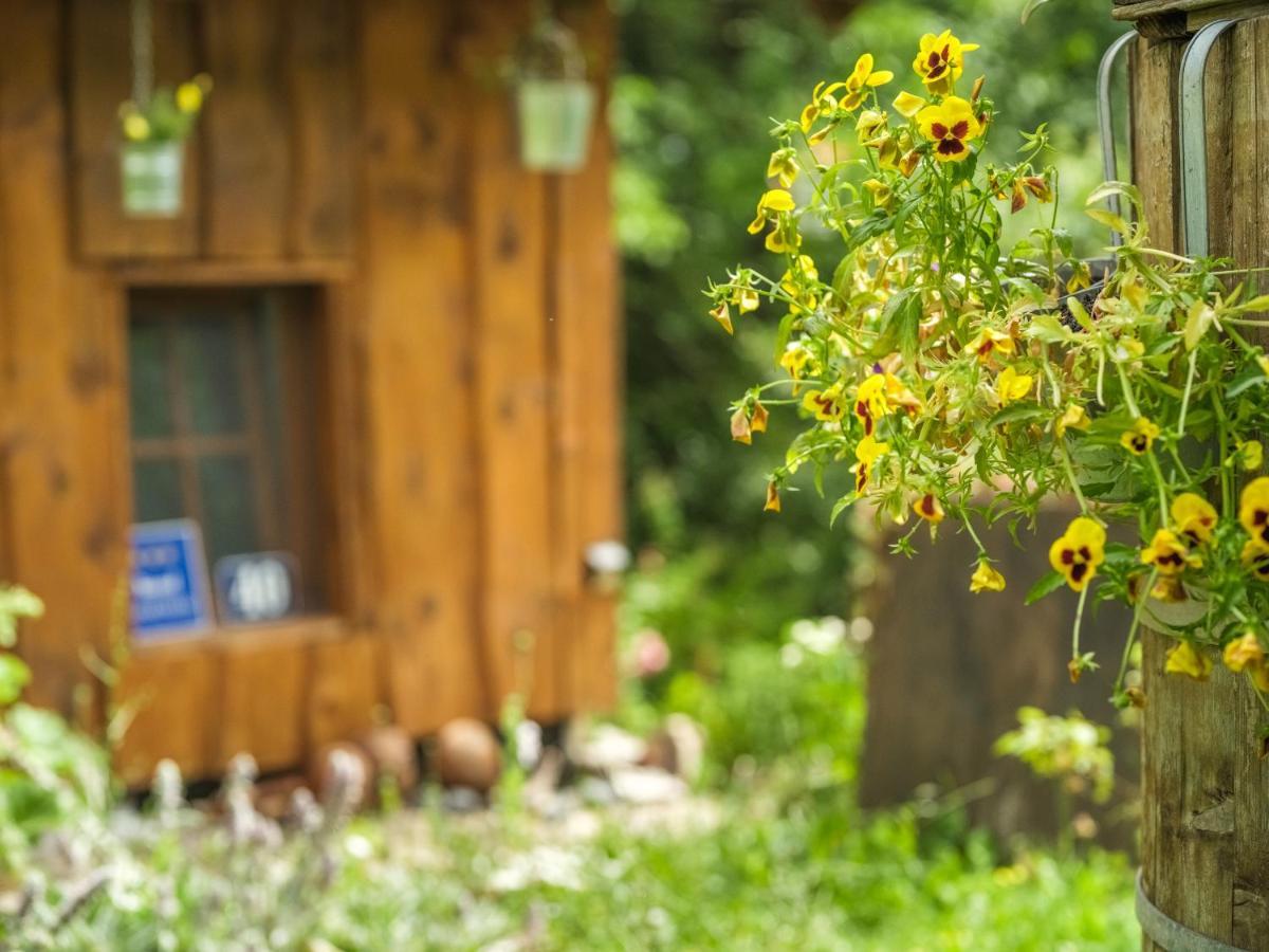 Ferienwohnung Yeti Cabin Plitvica selo Exterior foto